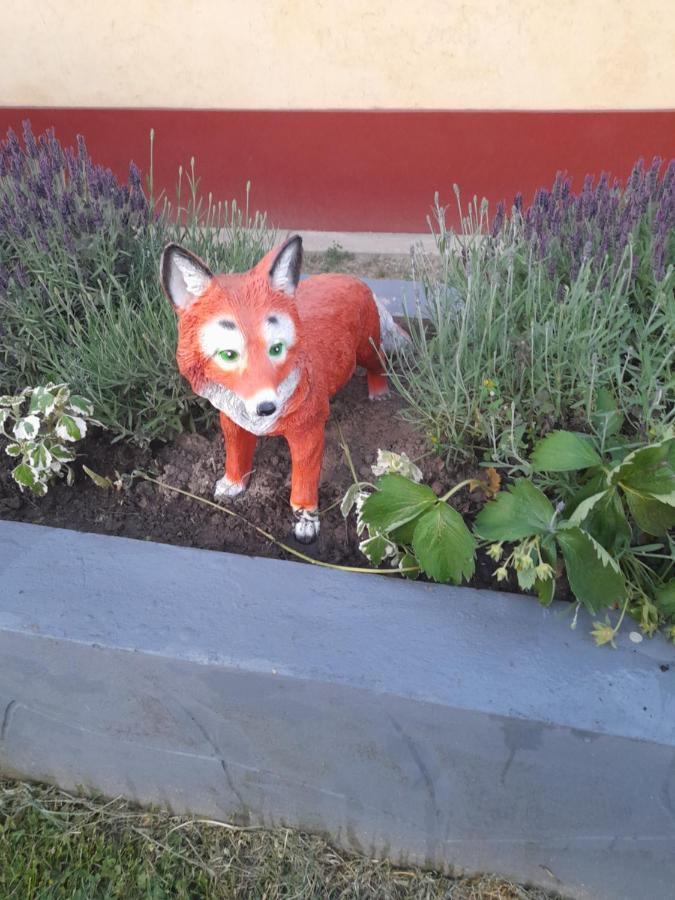 Apartment Fox *